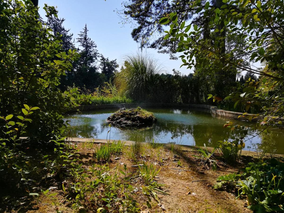 Embarben Maison D'Hotes Saint-Chamas Bagian luar foto